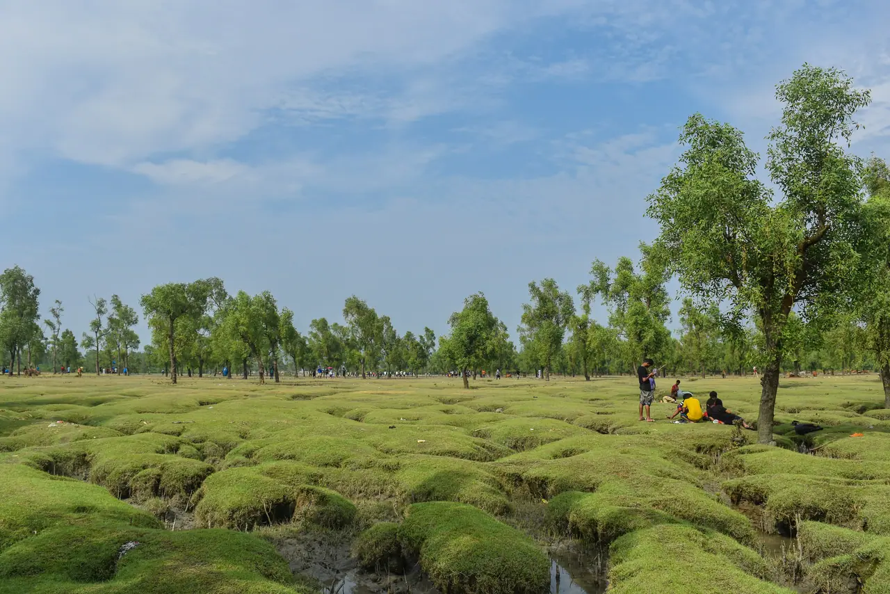 বারৈয়াঢালা জাতীয় উদ্যান