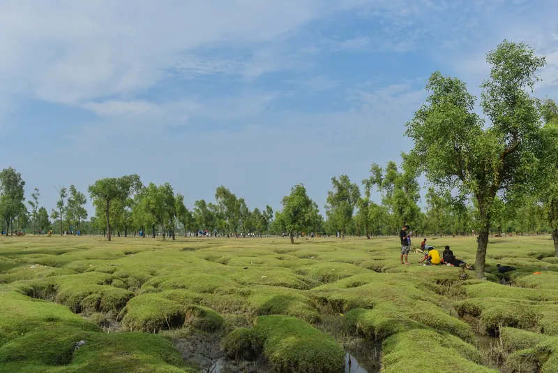 বারৈয়াঢালা জাতীয় উদ্যান