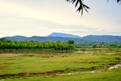 নেত্রকোনা