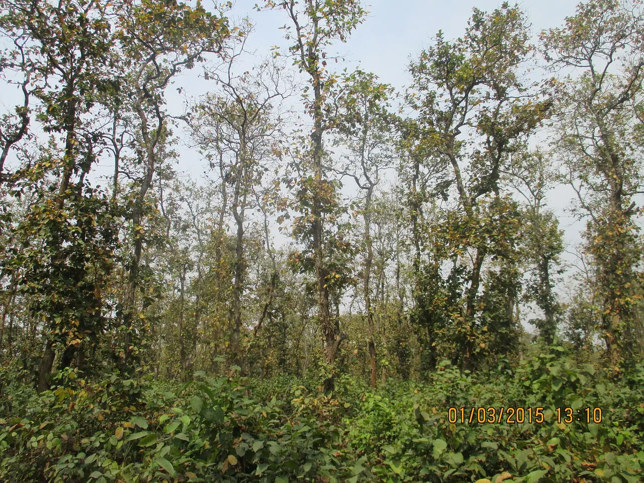 কাদিগড় জাতীয় উদ্যান