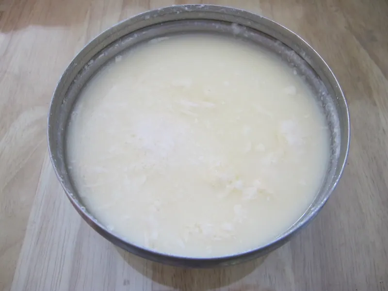 গৌরনদীর দই