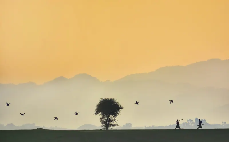 Haor country: Tanguar and the Meghalaya foothills