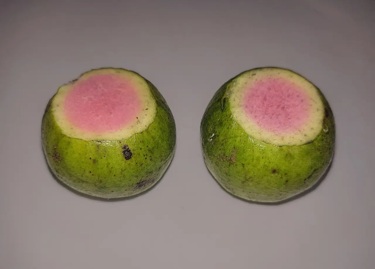 ঝালকাঠির পেয়ারা
