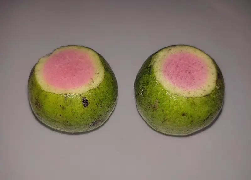 ঝালকাঠির পেয়ারা