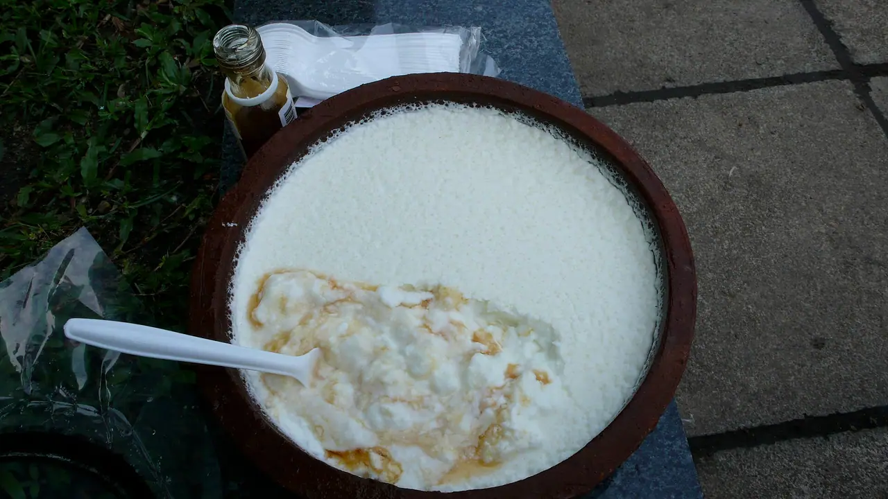 Sonagazi Buffalo Curd