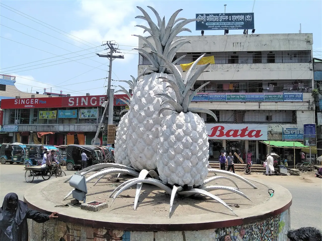 মধুপুরের আনারস