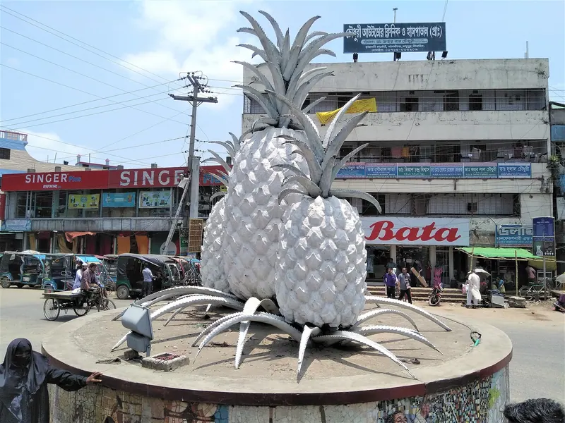 মধুপুরের আনারস