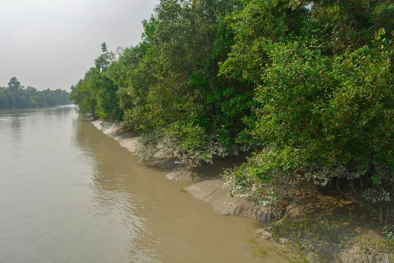আচার্য প্রফুল্লচন্দ্র রায়ের বাড়ি, রাড়ুলী