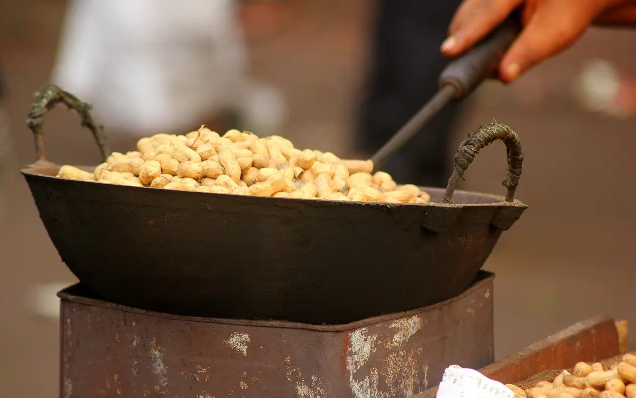 তিস্তার চরের বাদাম