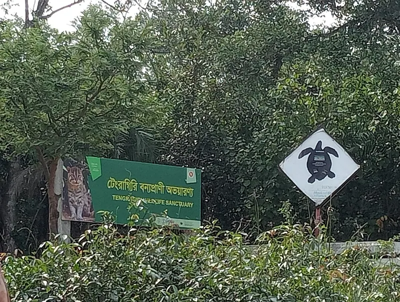 টেংরাগিরি বন