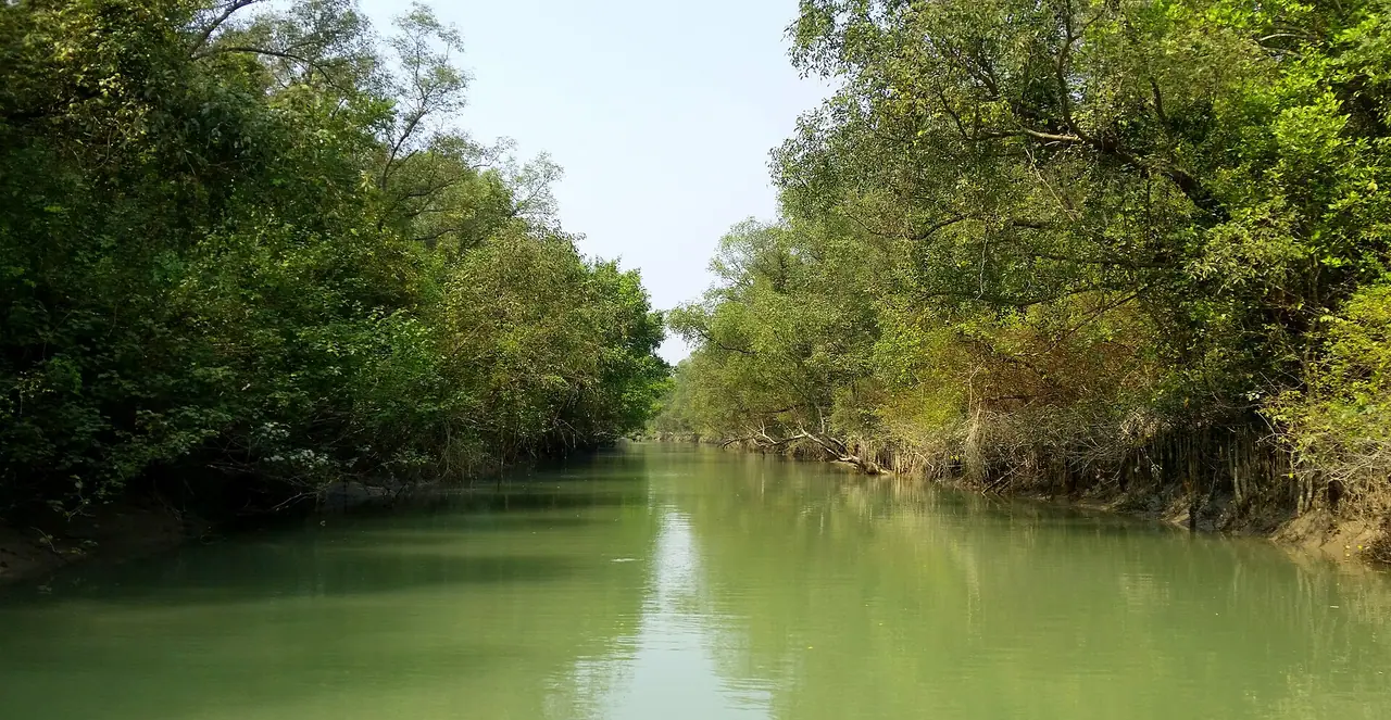 চর কুকরি মুকরি