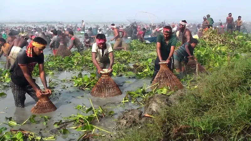 চলনবিল