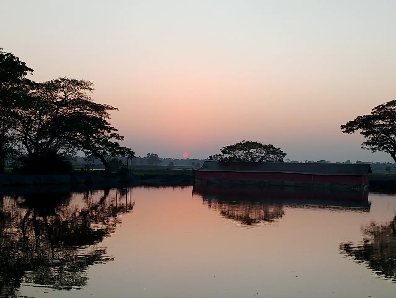 কোটালীপাড়ার ভাসমান বাগান