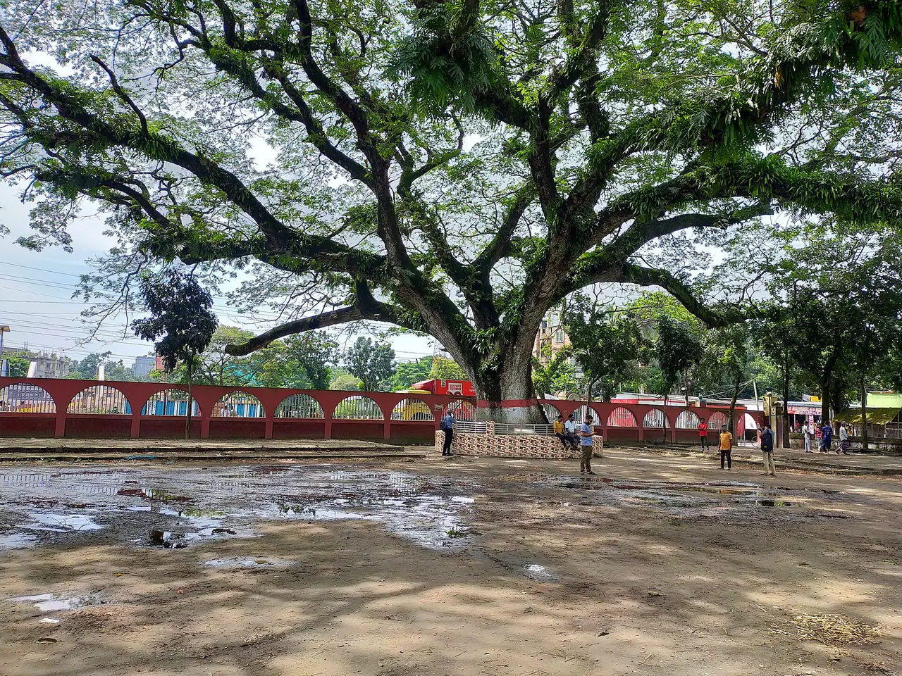 শোলাকিয়া ঈদগাহ