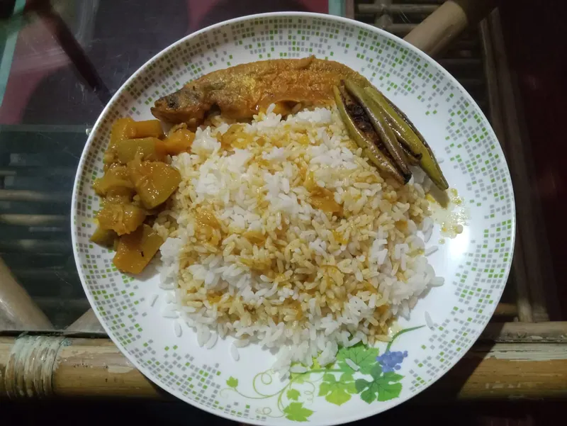 পাটুরিয়া ঘাটের নদীর মাছ