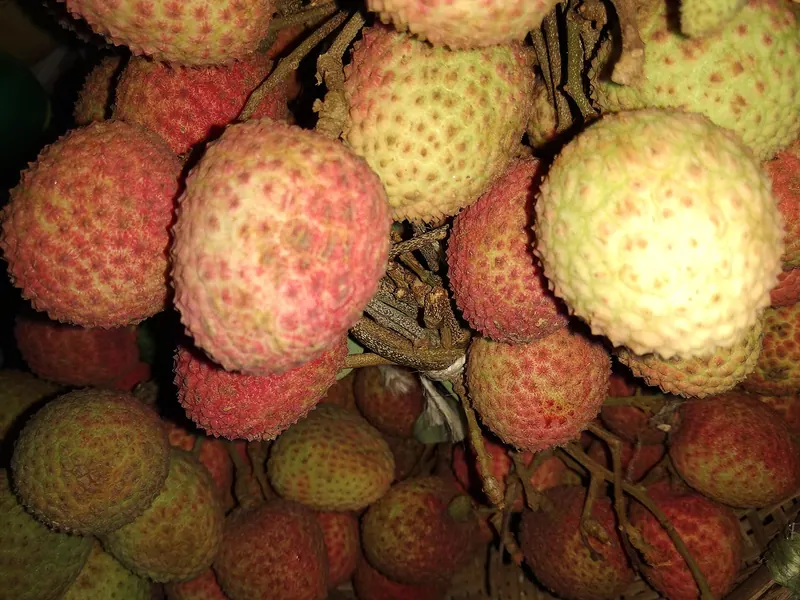 দিনাজপুরের লিচু