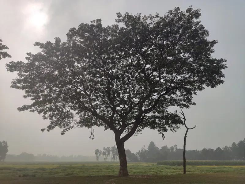 নাওডাঙ্গা জমিদার বাড়ি