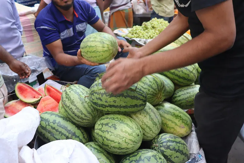 পটুয়াখালীর তরমুজ