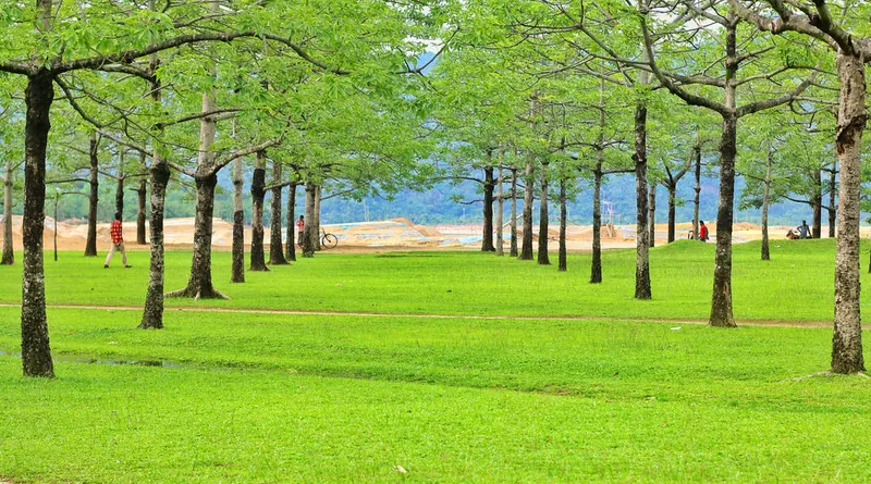 শিমুল বাগান, তাহিরপুর