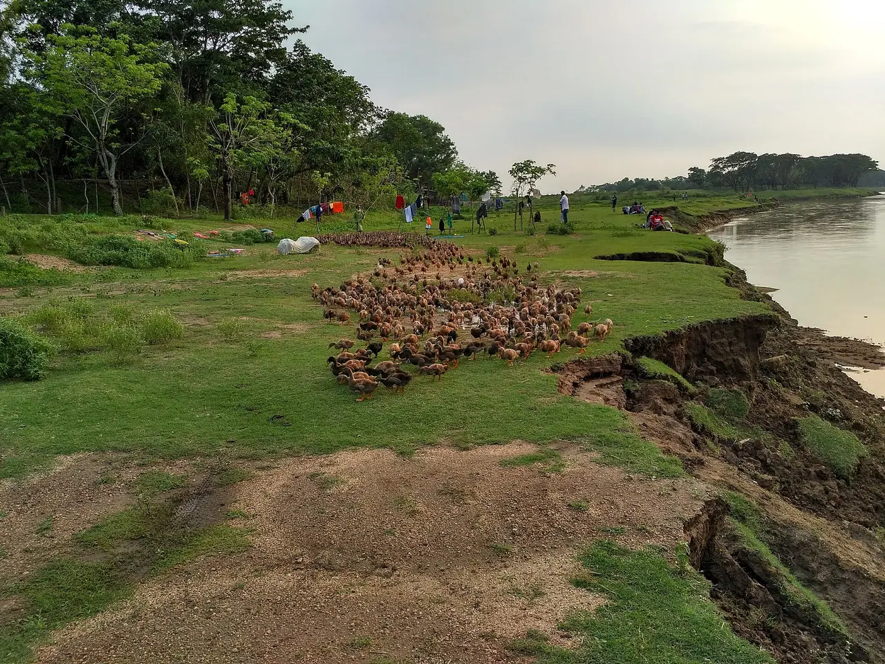 বিরিশিরি ও সোমেশ্বরী নদী