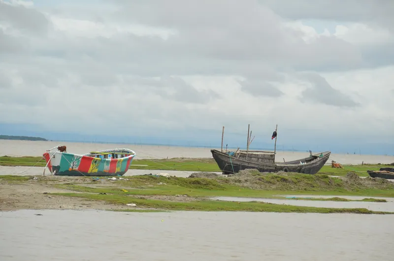 মুছাপুর ক্লোজার