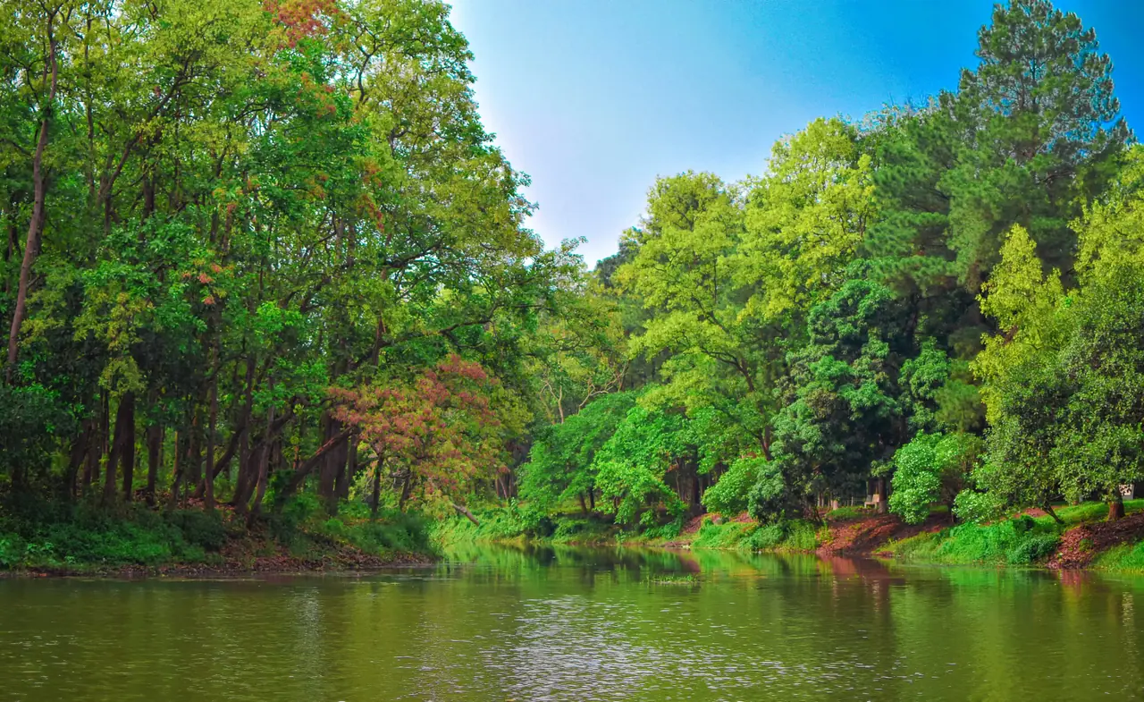 ঈসা খাঁর সমাধি, বক্তারপুর