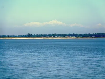 নীলফামারী