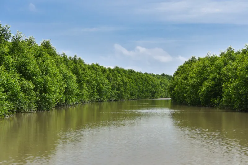 বীরশ্রেষ্ঠ মোস্তফা কামাল স্মৃতি জাদুঘর ও গ্রন্থাগার
