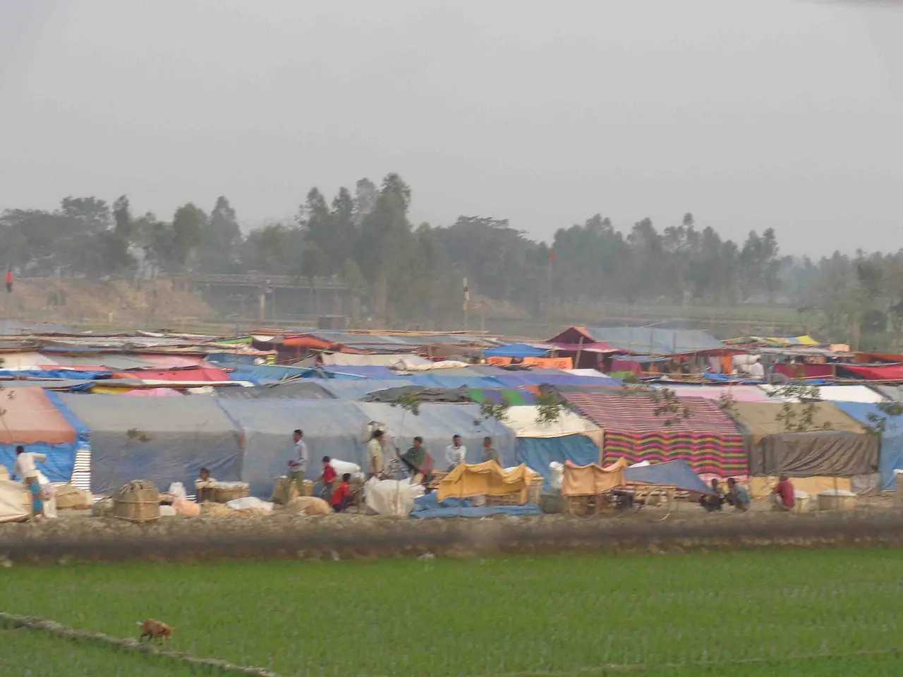 Poradaha Fish Fair