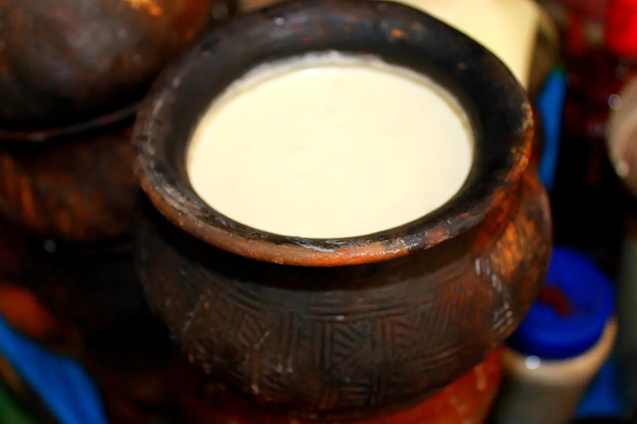 রামগতির মহিষের দই