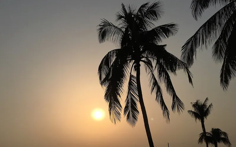 শিবচরে পদ্মার পাড়