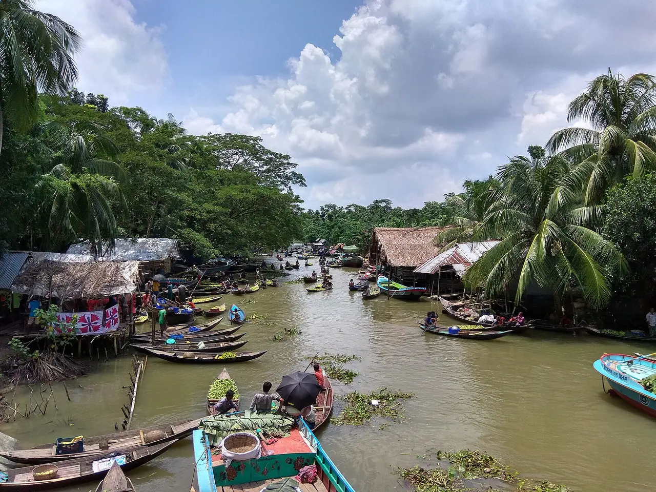 Bhimruli floating guava market