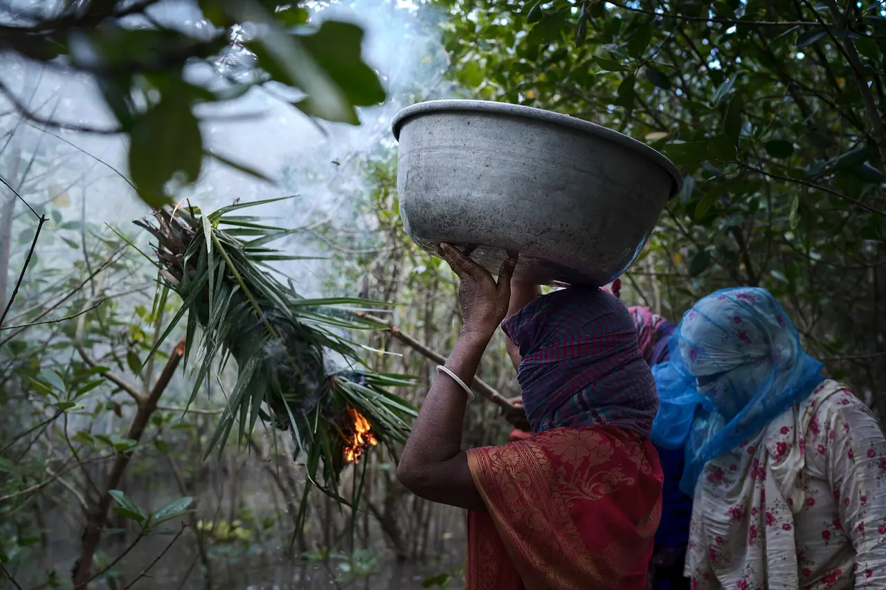 সুন্দরবনের মধু