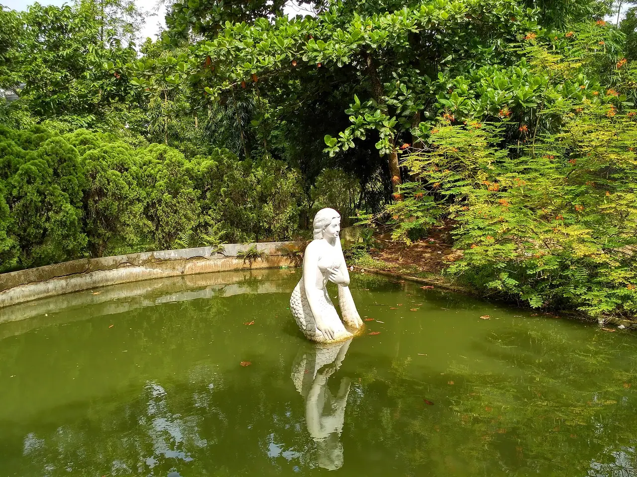 নুহাশ পল্লী