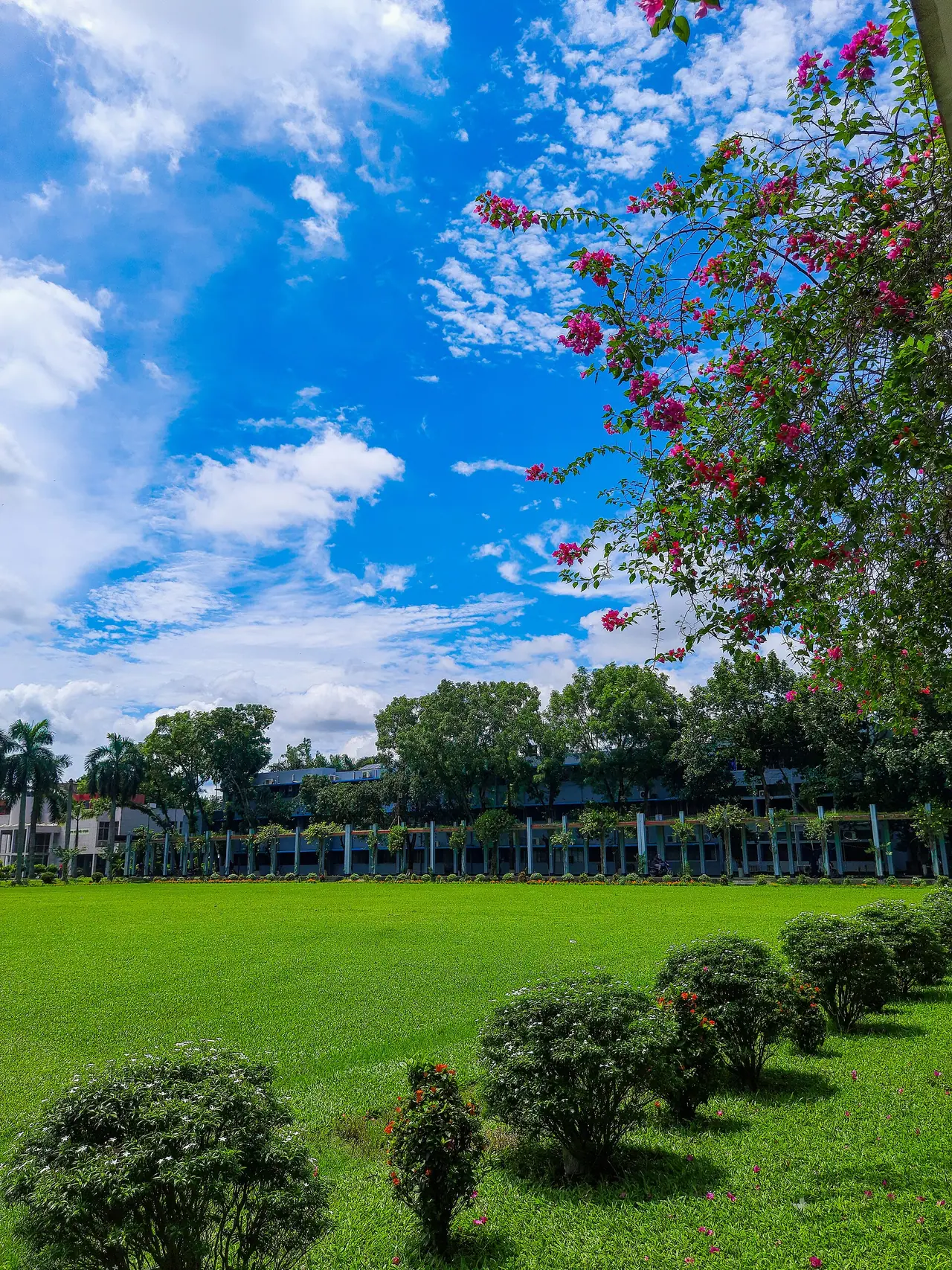 Bangladesh Agricultural University Campus