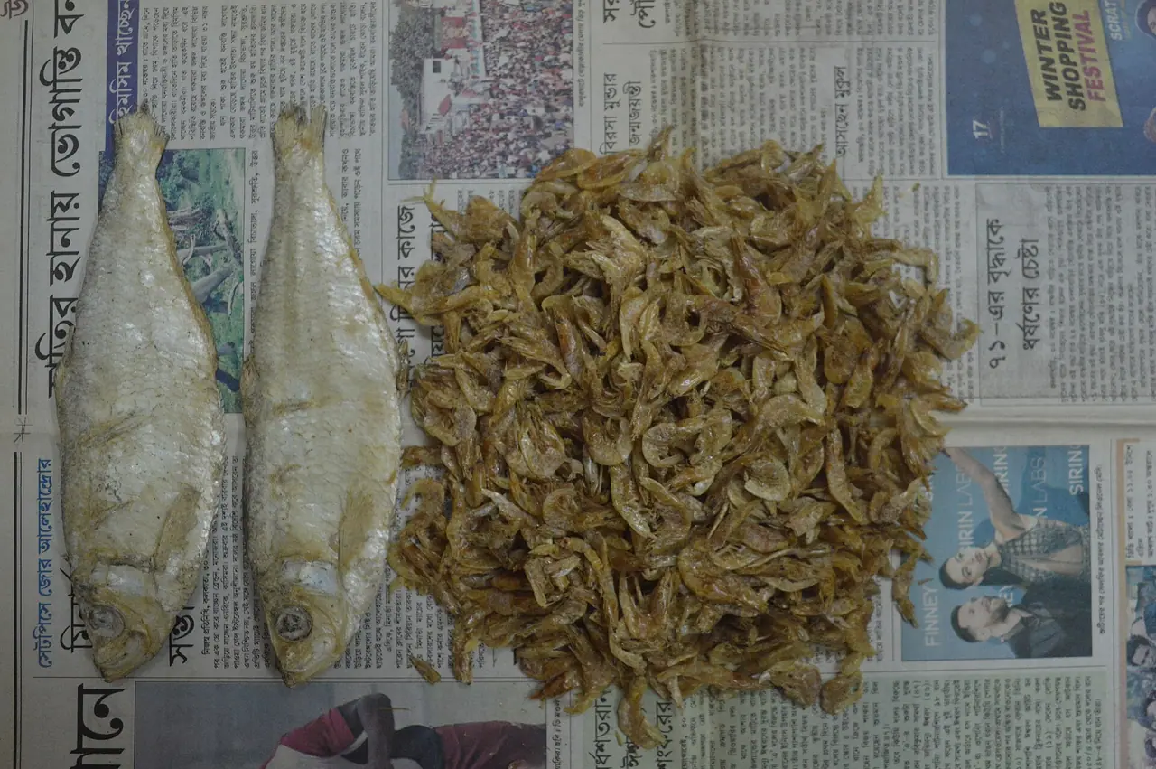 Hatiya Hilsa and Nona Ilish