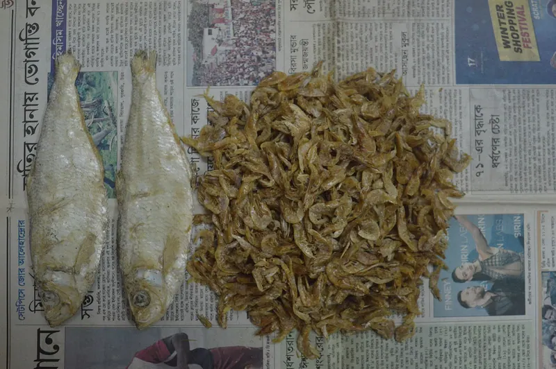 হাতিয়ার ইলিশ ও নোনা ইলিশ