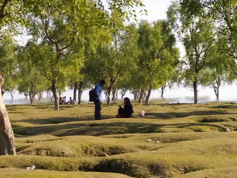 গুলিয়াখালী সমুদ্র সৈকত