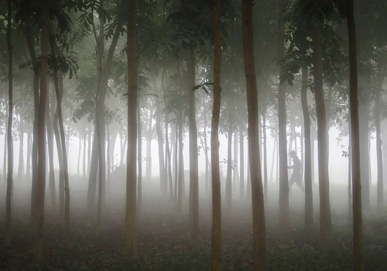 আদমপুর বন
