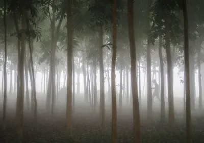 মৌলভীবাজার