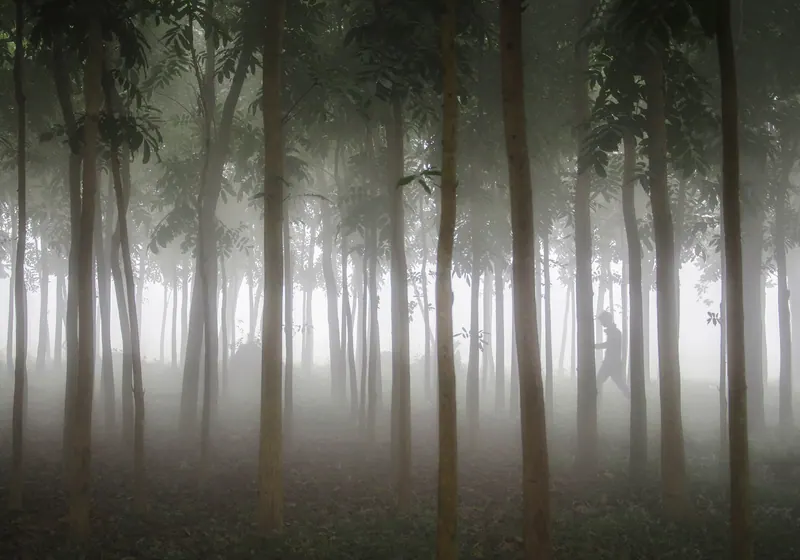 আদমপুর বন