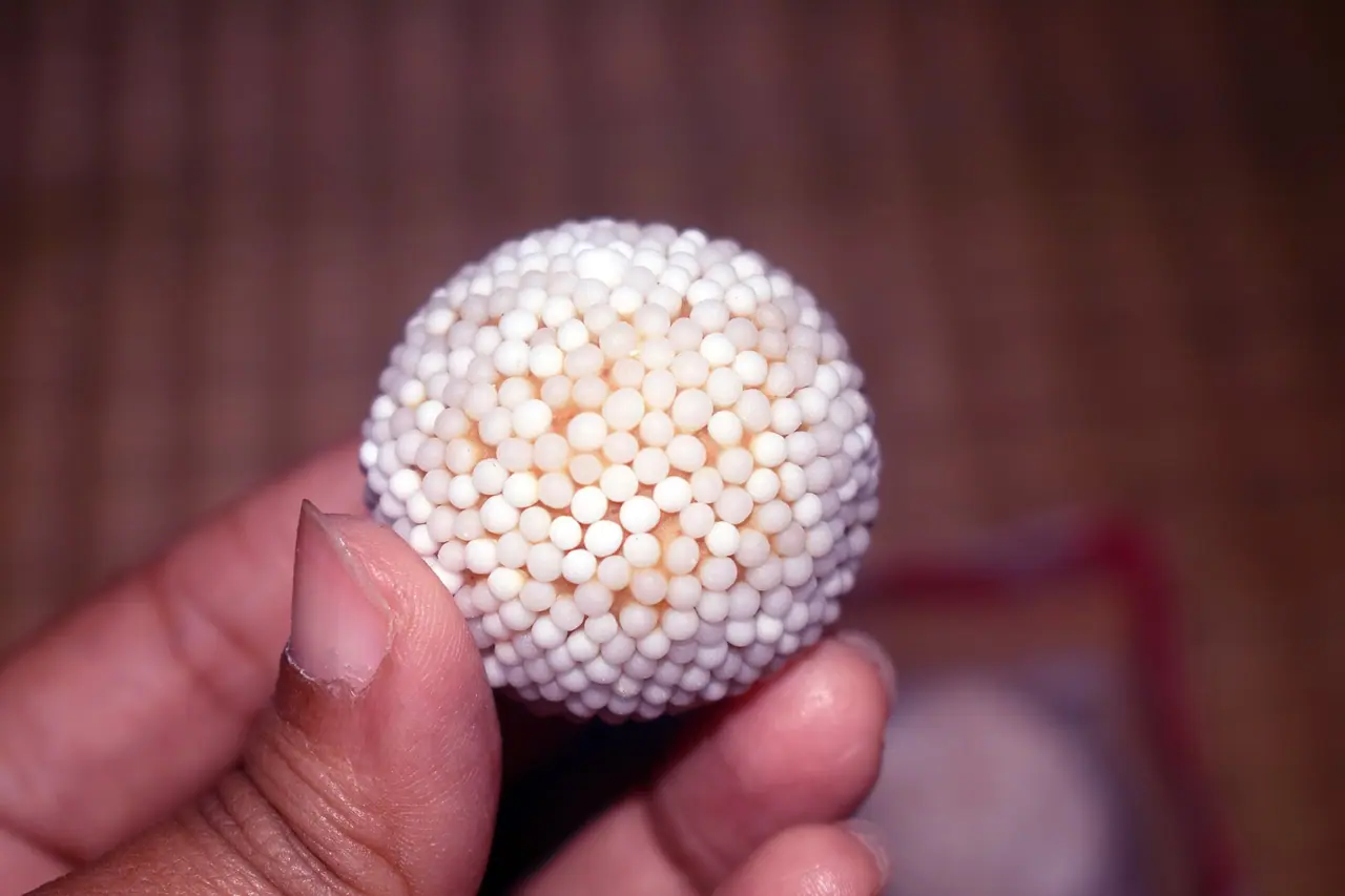 রসকদম