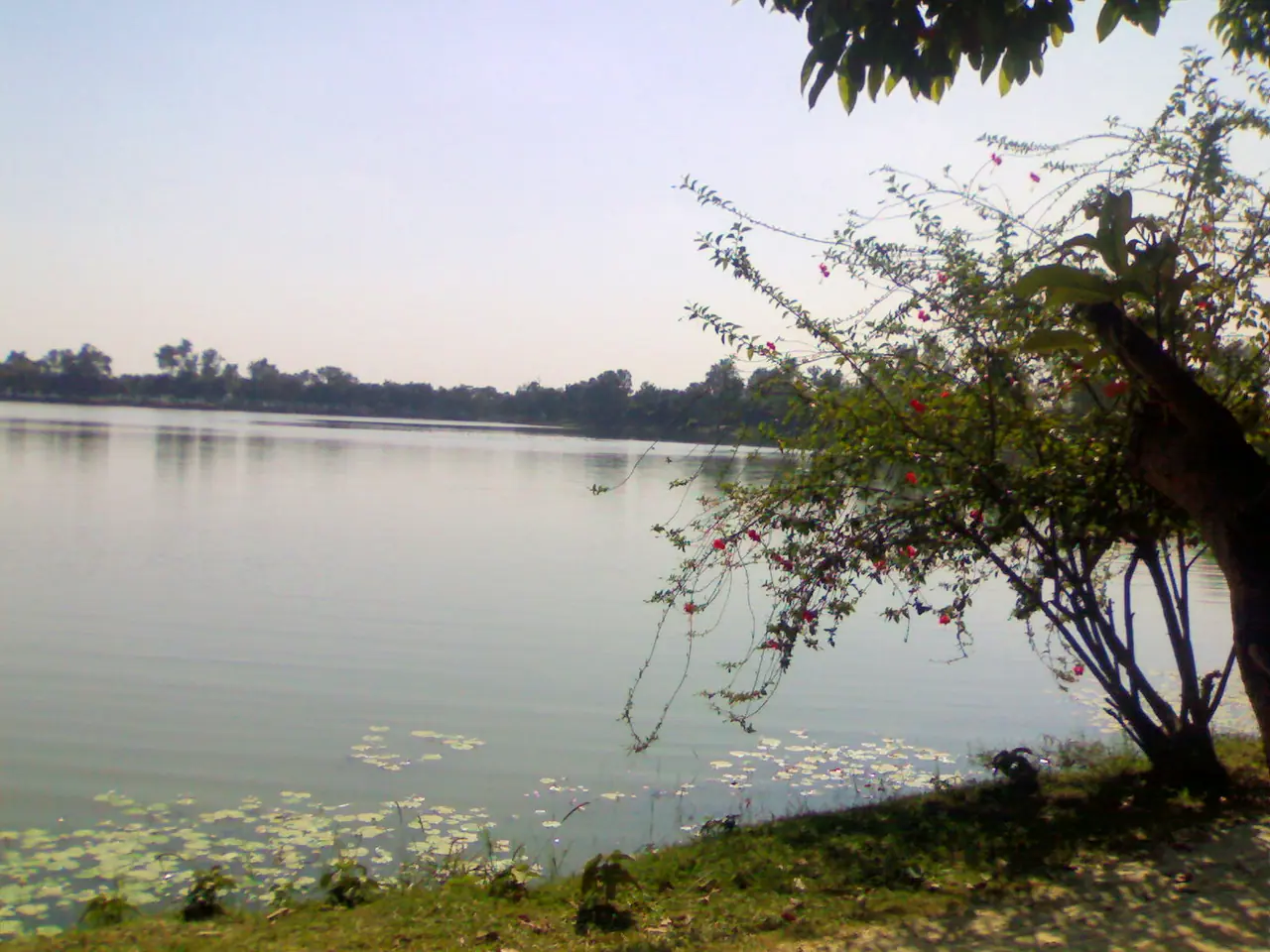 নীলসাগর