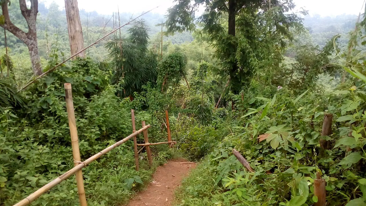 Barshijora Eco Park