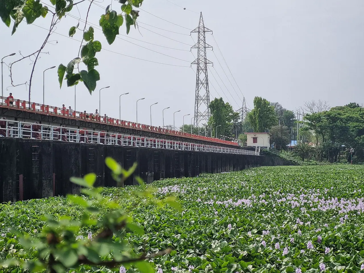 মুহুরী প্রজেক্ট