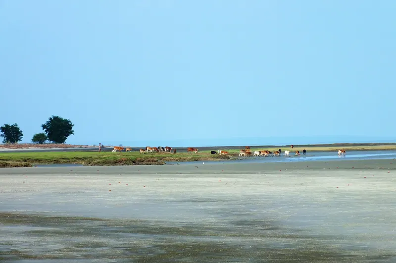 সোনার চর