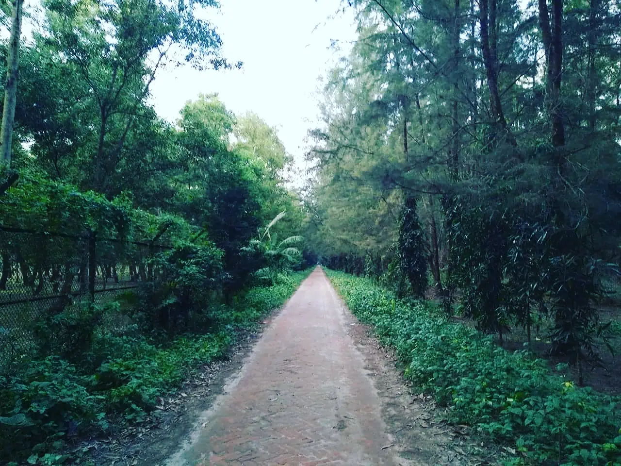 Jamuna Bridge West Eco Park