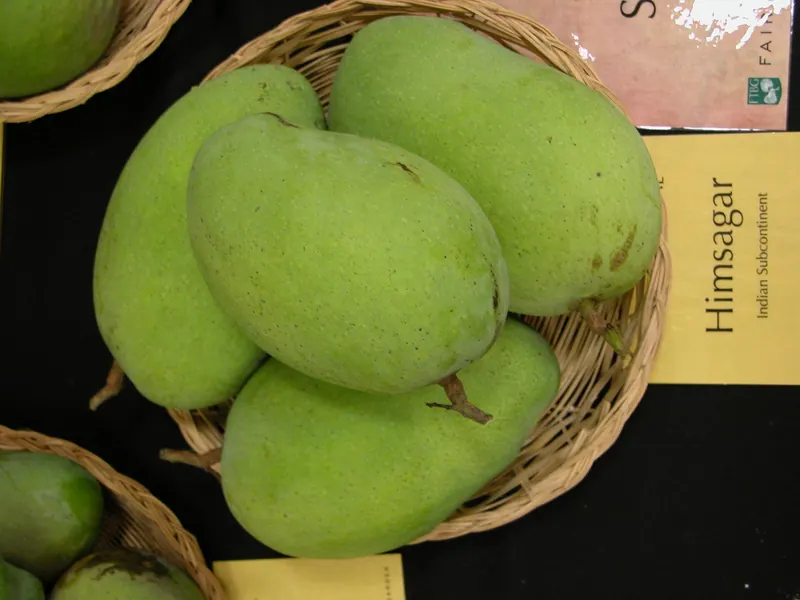 মেহেরপুরের হিমসাগর আম