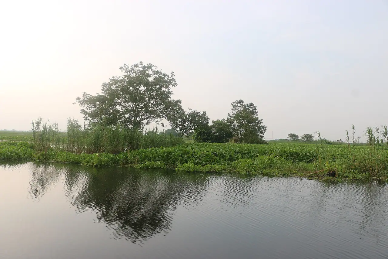 আড়িয়াল বিল