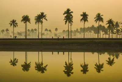 নোয়াখালী
